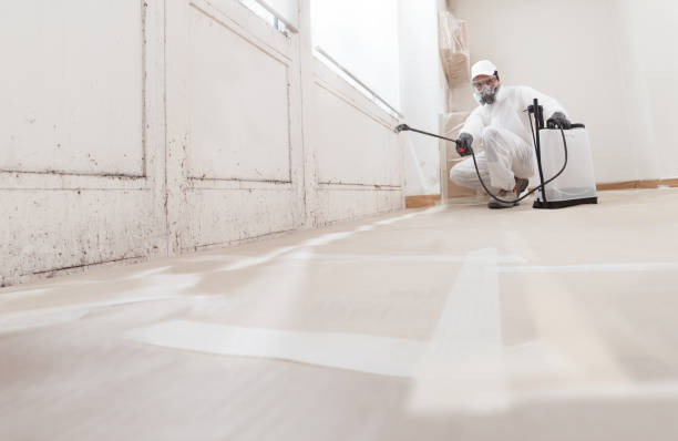 24/7 Emergency Mold Cleanup experts in Middletown, NY